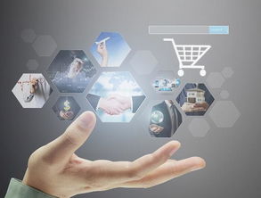 2019年两大商机 互联网信息服务助力普通人收入翻倍增长